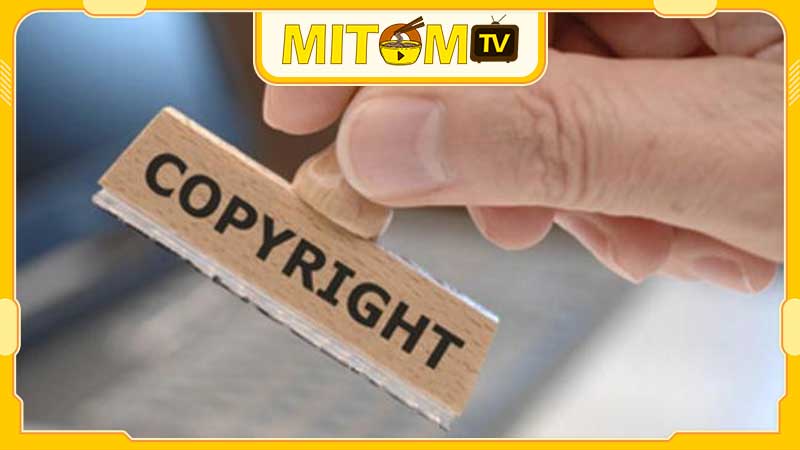 bản quyền Mitom TV